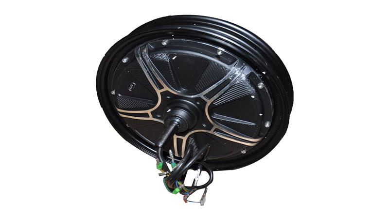 ARKA JANT ve MOTOR (ECOBIKE)